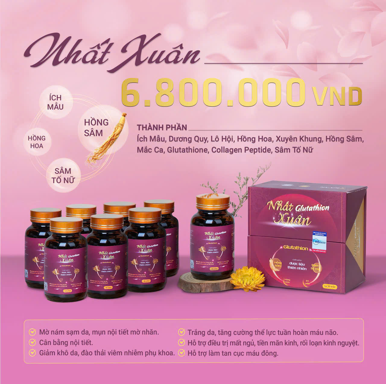 Combo Nhất Xuân - 08 hộp