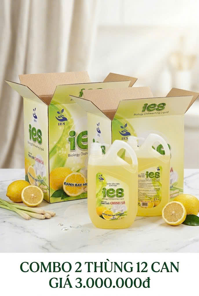 Combo Nước Rửa Chén sinh học IES - 12 Can